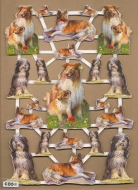 Lassie & Bobtail met goud poezieplaatjes 572536