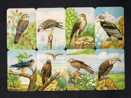 Kruger 99/35 Roofvogels poezieplaatjes