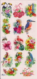 Tropische vogels poezieplaatjes Stickers C96