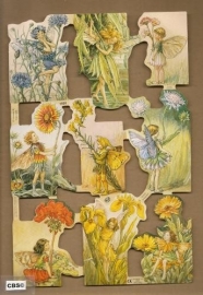 Bloemenkindertjes Cicely Mary Barker poezieplaatjes 1959
