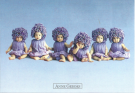 Anne Geddes kaart nr. A113: Canterbury Belles