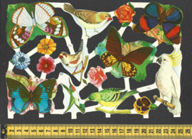 Vlinder, vogels en bloemen poezieplaatjes MLP 1576