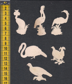 Allerlei vogeltjes (6) antieke poezieplaatjes (664)