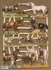 Paarden met ruiters en honden poezieplaatjes 7335