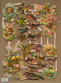Vogels in bloesem bij nest poezieplaatjes 7212