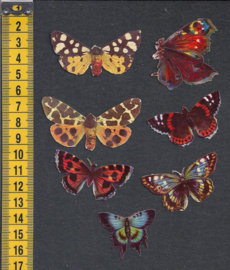 Vlinders (7) antieke poezieplaatjes (638)