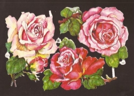 3050 EAS Grote rozen poezieplaatjes