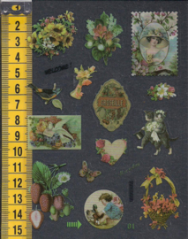 Stickers Vintage doorzichtig plastic - WH1076