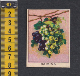Druiven - Raisins ~ Librairie d'education Nationale