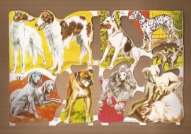 Honden met koningspoedel poezieplaatjes MLP 1548