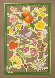 C5039: Prachtige bloemen en vruchten poezieplaatjes