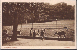 Hertenkampje Sonsbeek - Arnhem - oude kaart [15598]