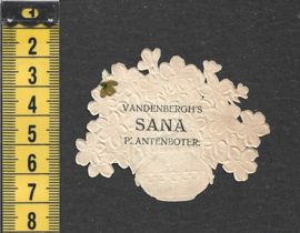 Vergeetmijnietjes - Sana - antiek poezieplaatje (763)