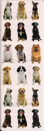 Kleine honden 1 stickers