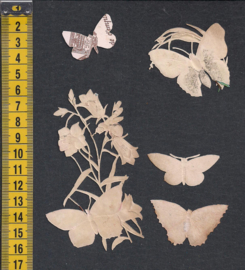 Vlinders (5) antieke poezieplaatjes (669)