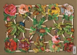 Bloemen met verschillende insecten poezieplaatjes 7338