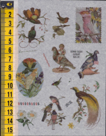 Stickers nostalgie Vogels mat plastic - WH1069