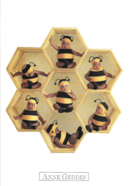 Anne Geddes kaart nr. A253: Hommels