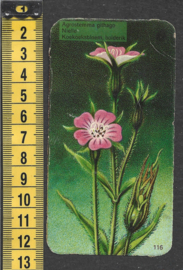 Côte d'Or Poezieplaatje: Nr 116: Koekoeksbloem, bolderik (tekst voor)