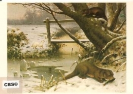 Roofdieren in de winter - M.A.Koekkoek [C4494]