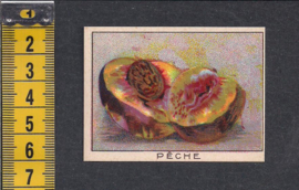 Perzik - Pêche ~ Librairie d'education Nationale