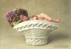 Anne Geddes kaart nr. A125/2167: Hortensia baby