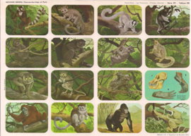 Editions Hemma Serie 39 - Tableau 58 Primaten