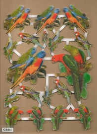 Papegaaien met goud poezieplaatjes 572539