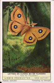 Liebig: Letters en Cijfers bij de Vlinders - Aglia tau (Tauvlinder)