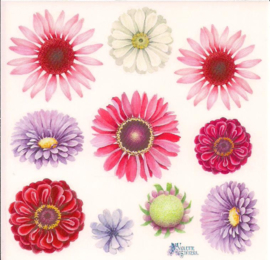 Gerbera poezieplaatjes Stickers K77