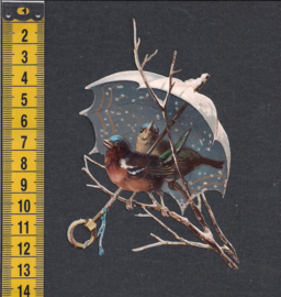 Paraplu vogel Blauwkopje antiek poezieplaatje (250)