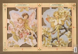 Bloemenkindertjes Cicely Mary Barker poezieplaatjes 1898