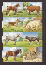 Boerderijdieren poezieplaatjes M.P. 983 B