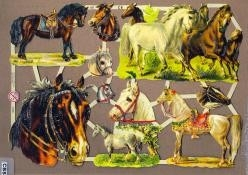 Paarden Poëzieplaatjes GL7236