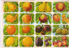 Editions Hemma Serie 39 - Tableau 28 Fruit