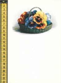 Wensbrief: Viooltjes mand