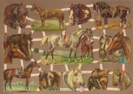 Paarden poezieplaatjes GL7378