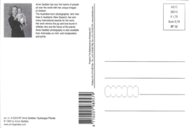 Anne Geddes kaart nr. A125/2167: Hortensia baby