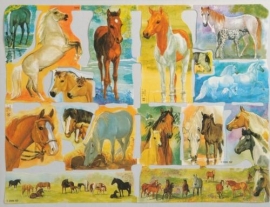 Sierlijke paarden poezieplaatjes MLP 1976 & 1977