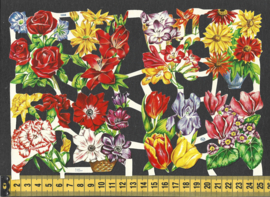 Bloemen poezieplaatjes MLP 1560