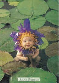 Anne Geddes kaart nr. A219: Waterlelie
