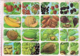 Editions Hemma Serie 39 - Tableau 29 Fruit