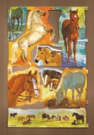 Merries met veulens in de wei poezieplaatjes MLP 1976