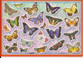 Poezieplaatjes vlinders stickers TBZ 662371