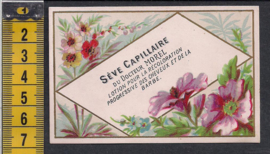 Verbeeken Coiffeur Parfumeur - Bloemen reclame Litho (499)