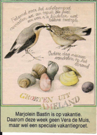 Vera de Muis Groeten uit Ameland hoekje Libelle