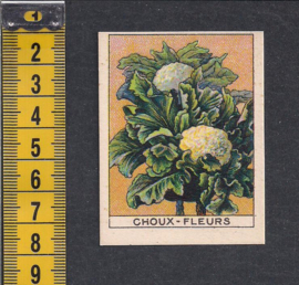 Bloemkool - Choux-Fleurs ~ Librairie d'education Nationale