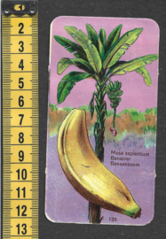 Côte d'Or Poezieplaatje: Nr 135: Banaanboom (tekst voor)