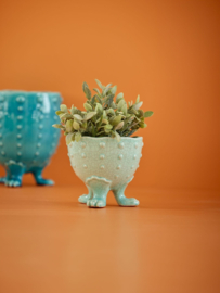 Rice Ceramic Flower Pot in Mint and Crackled Look