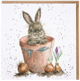 Wrendale Designs Card 'The Flower Pot'